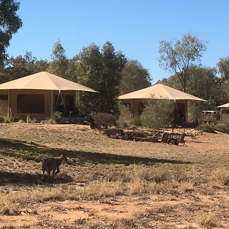 Squeakywindmill Boutique Tent B&B Alice Springs Bagian luar foto