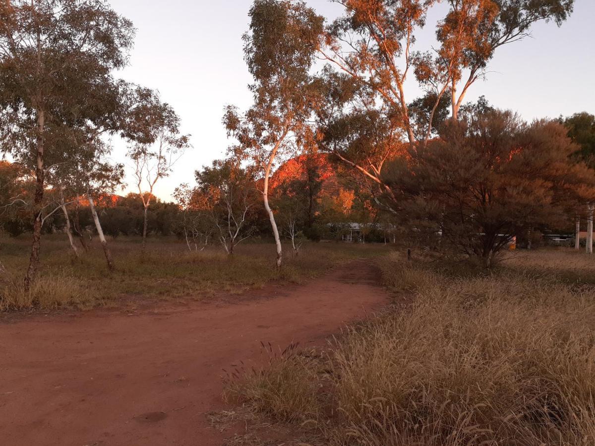 Squeakywindmill Boutique Tent B&B Alice Springs Bagian luar foto