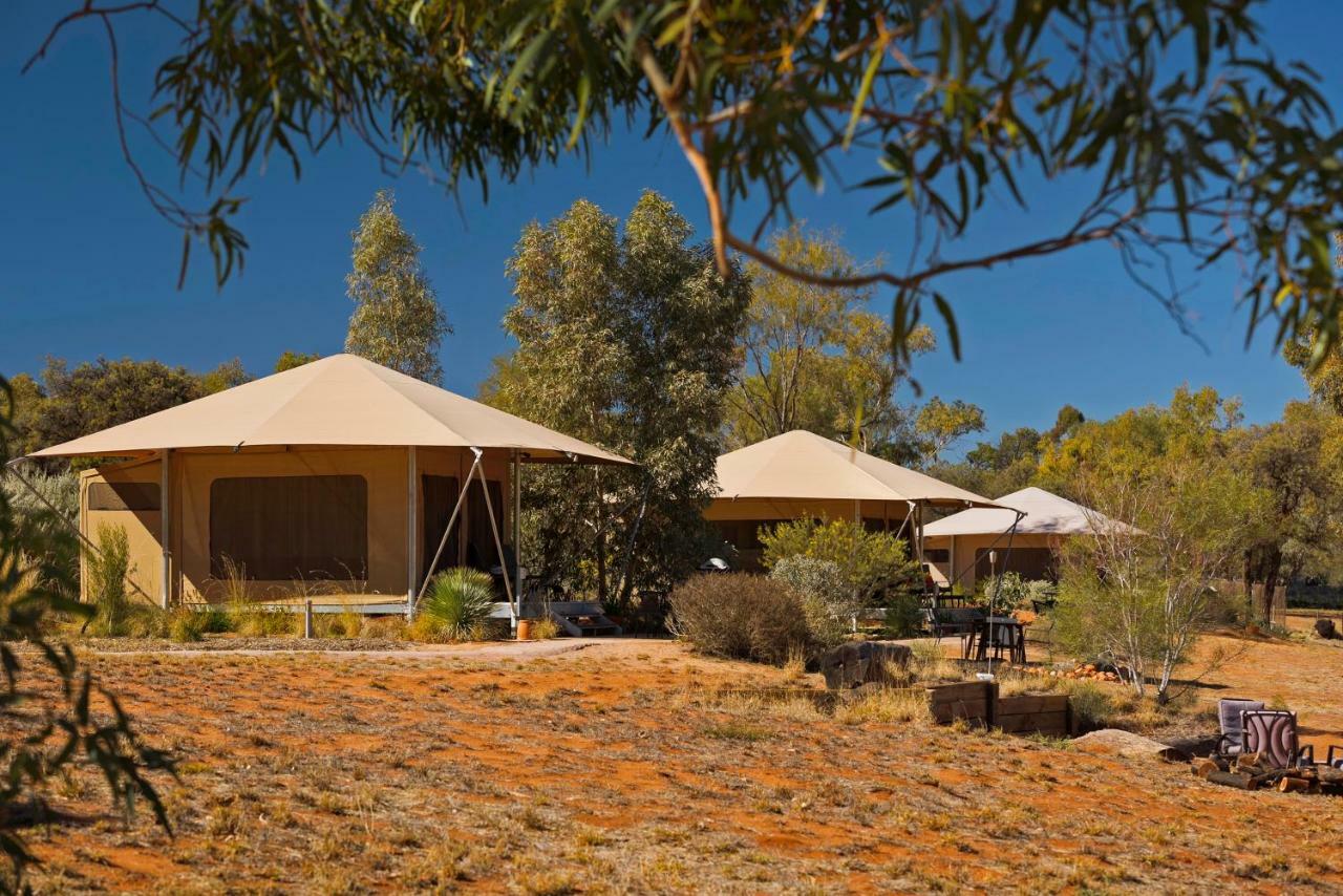 Squeakywindmill Boutique Tent B&B Alice Springs Bagian luar foto