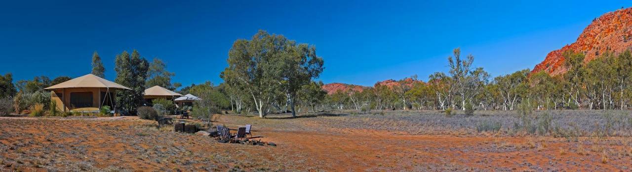 Squeakywindmill Boutique Tent B&B Alice Springs Bagian luar foto